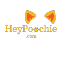 Heypoochie Coupons Store Coupons